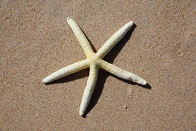 众星云集！小李子主演网飞黑色喜剧《别抬头》最新先导预告